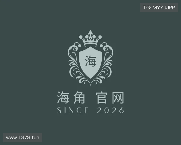 剖析海角 官网